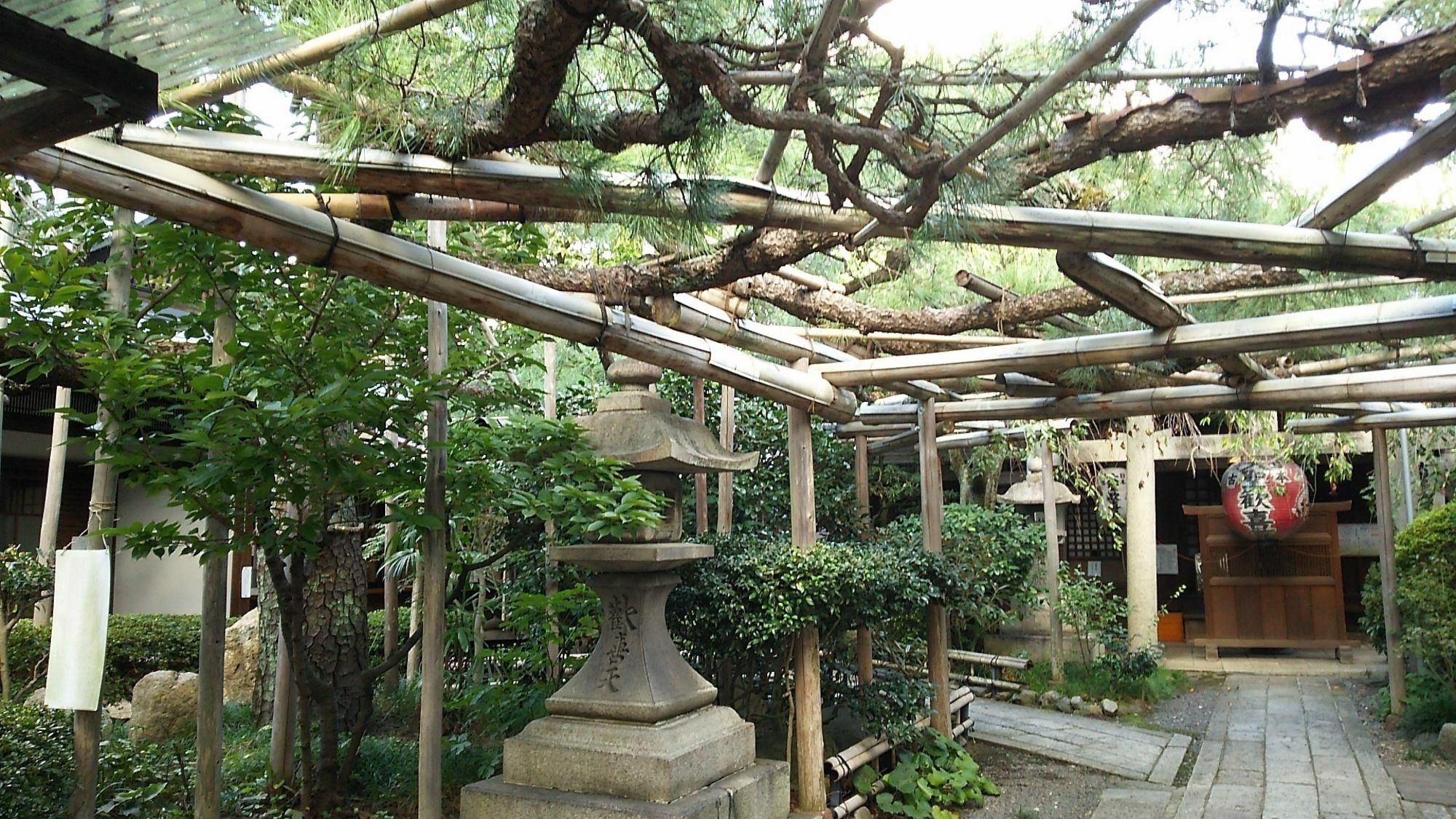 Guesthouse Ebisu كيوتو المظهر الخارجي الصورة